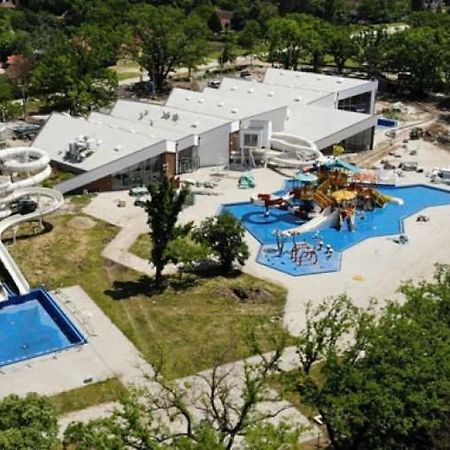 Apartman Buba Palić Dış mekan fotoğraf