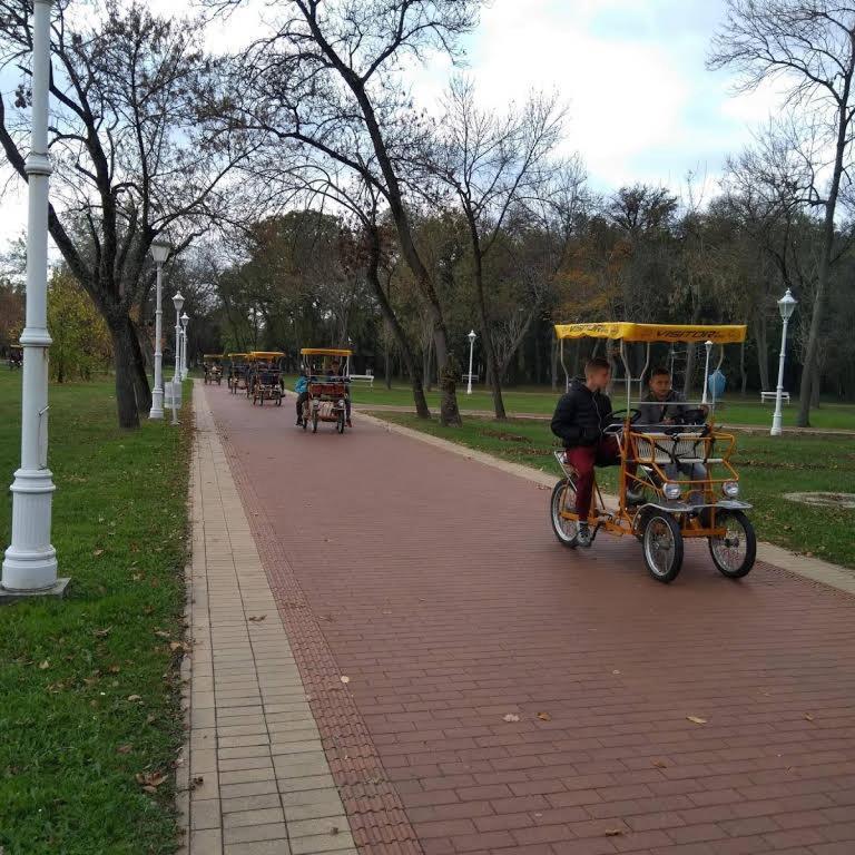 Apartman Buba Palić Dış mekan fotoğraf
