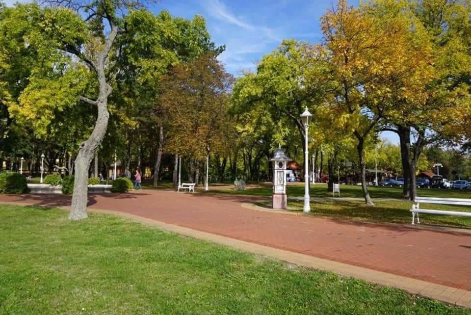 Apartman Buba Palić Dış mekan fotoğraf