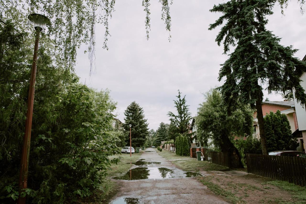 Apartman Buba Palić Dış mekan fotoğraf