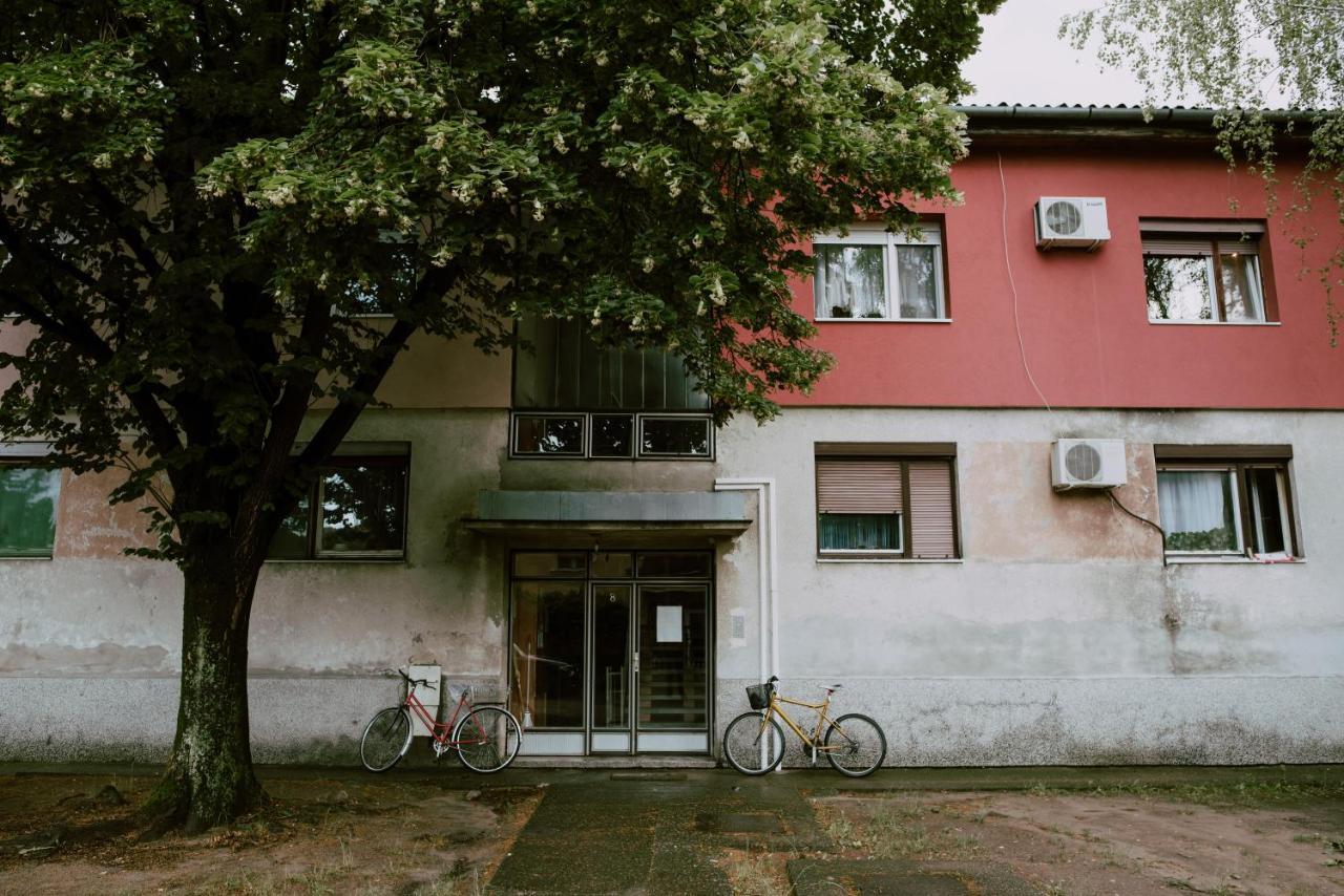 Apartman Buba Palić Dış mekan fotoğraf
