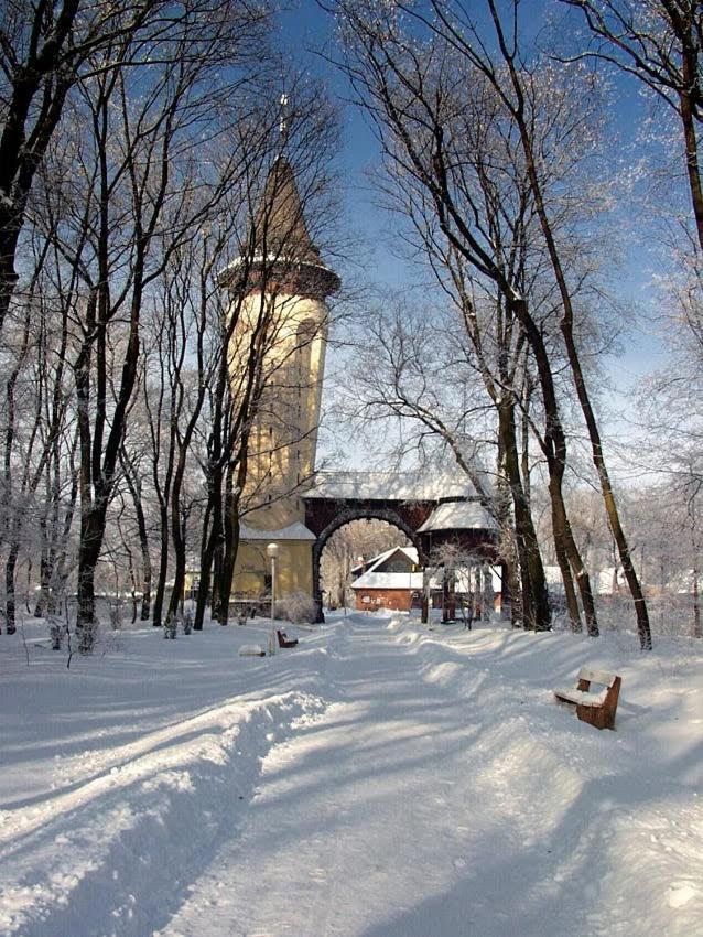 Apartman Buba Palić Dış mekan fotoğraf