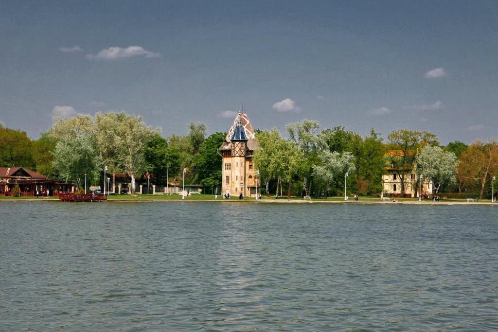 Apartman Buba Palić Dış mekan fotoğraf